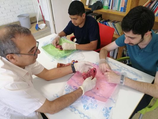 تشریح قلب گوسفند در کلاس زیست1